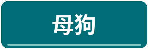 母狗影视传媒Logo